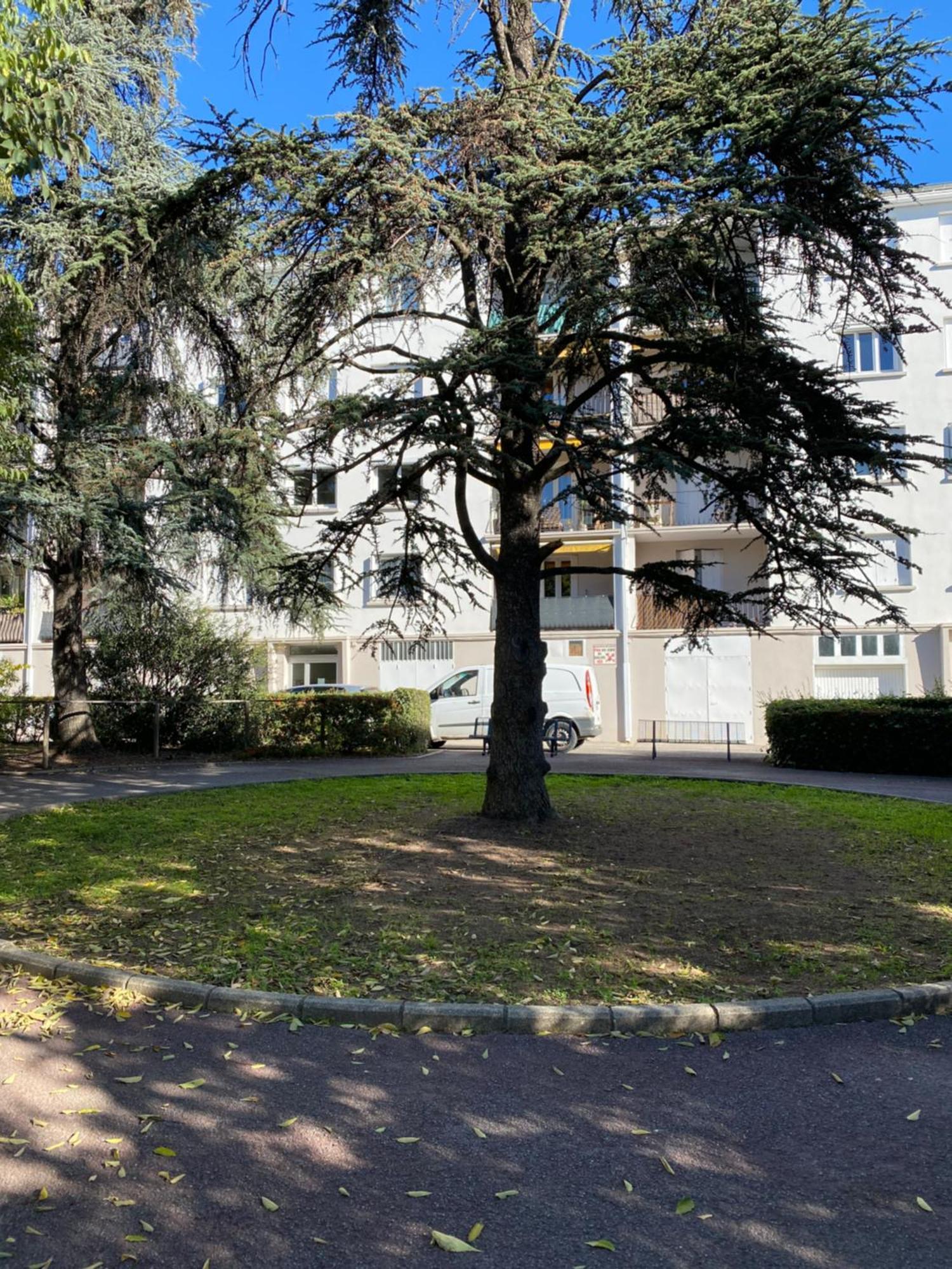 Appartement Rosaluz Montpellier Zewnętrze zdjęcie